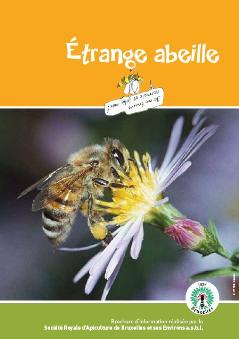 thumbnail -  Étrange abeille